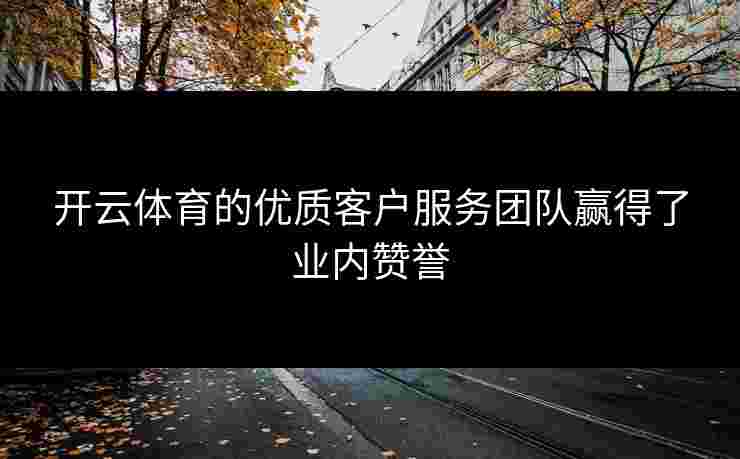开云体育的优质客户服务团队赢得了业内赞誉