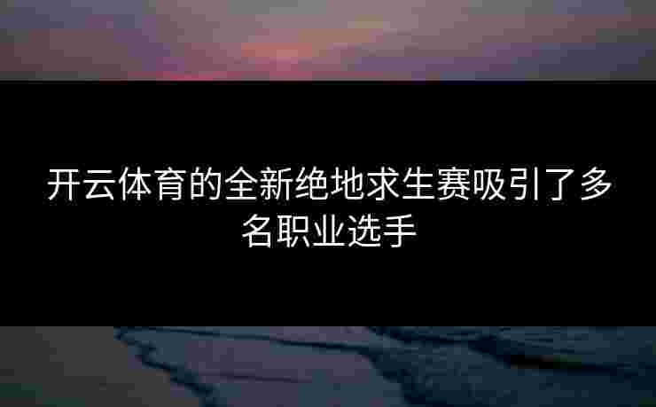开云体育的全新绝地求生赛吸引了多名职业选手