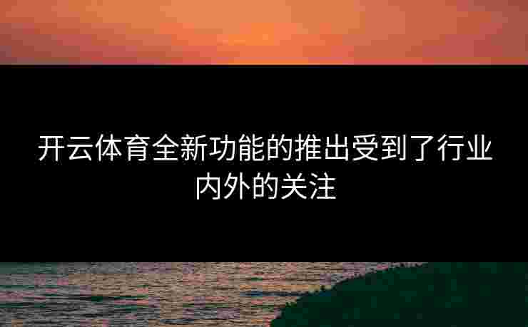 开云体育全新功能的推出受到了行业内外的关注