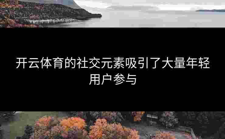 开云体育的社交元素吸引了大量年轻用户参与