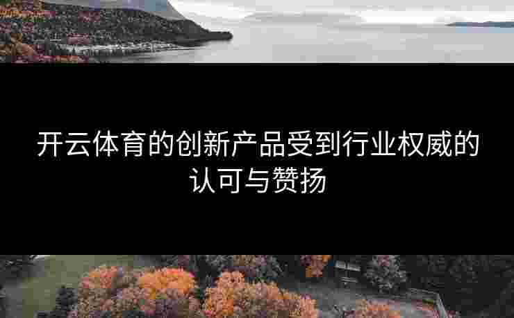 开云体育的创新产品受到行业权威的认可与赞扬
